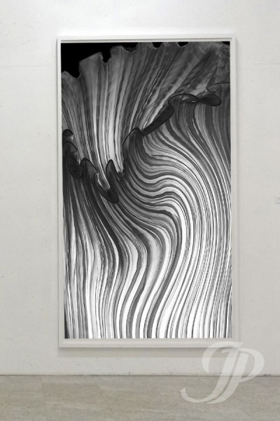 Nr. 22 fungi, 60x120x4 cm, Leinwand, 395 €