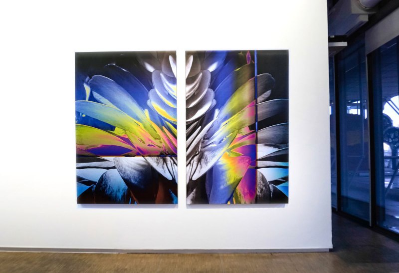Nr. 5 sukulent, 100x150x4 cm, Leinwand, 450 €