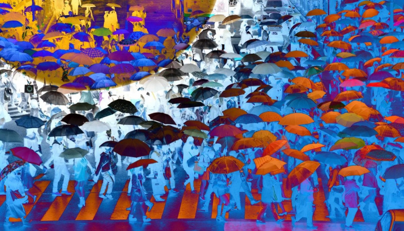 umbrella